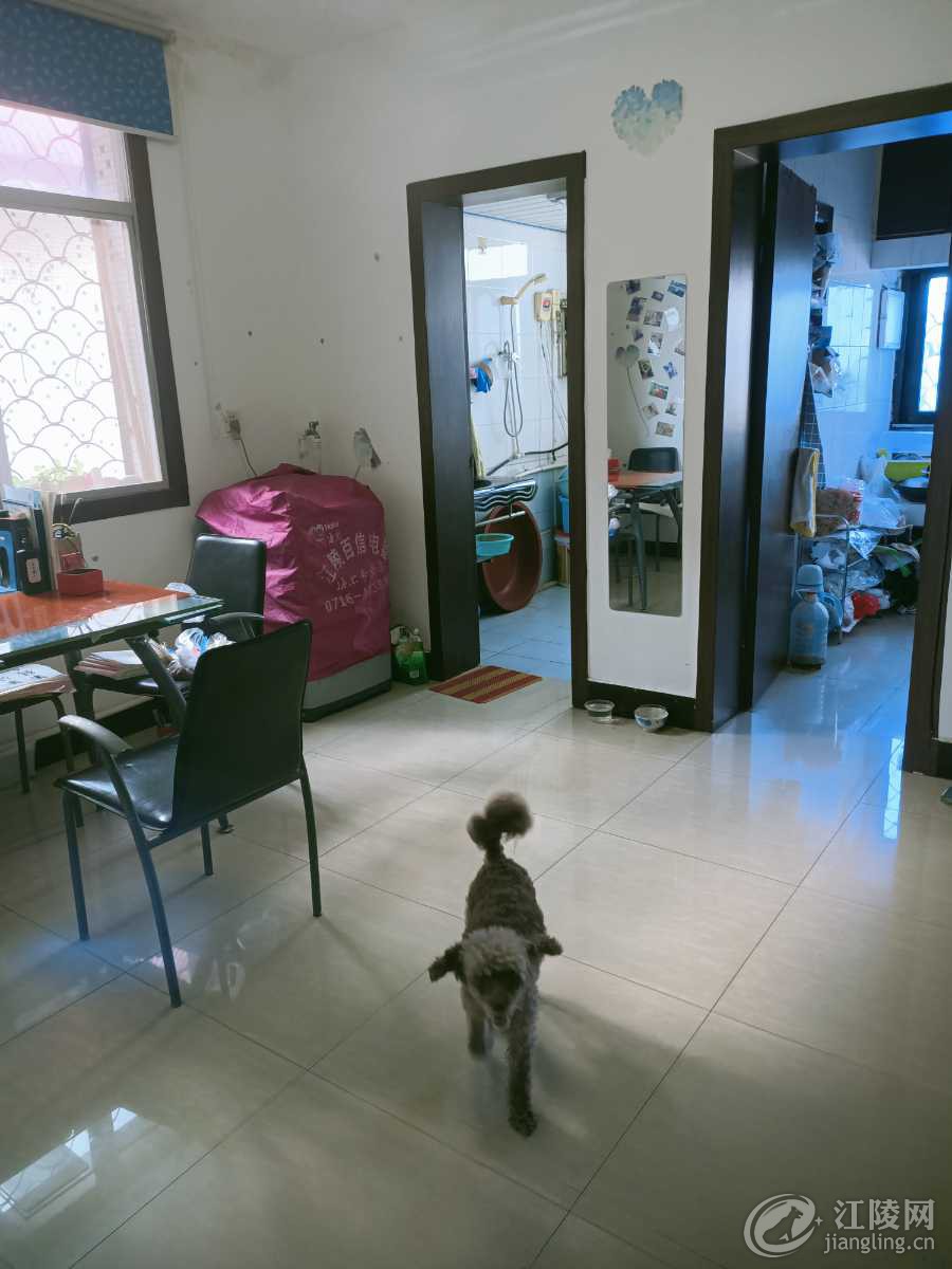 IMG20230620162414.jpg