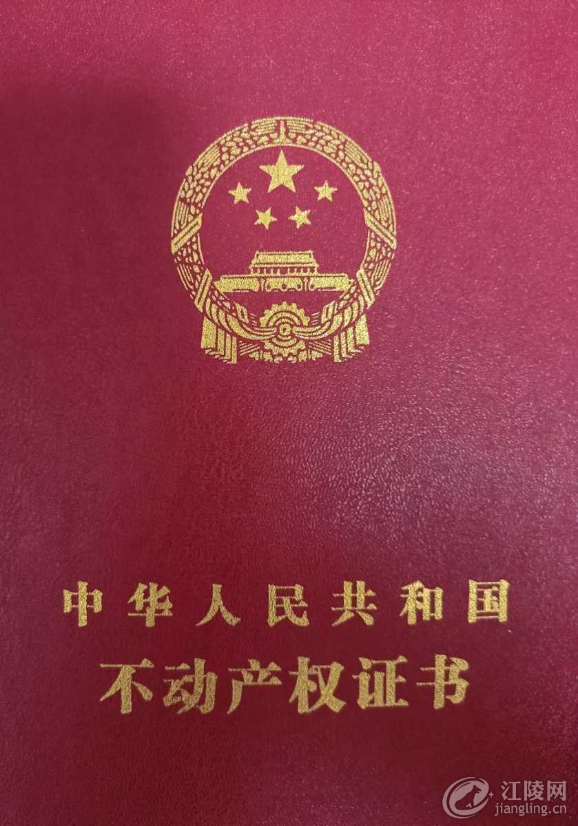mmexport1729416567566.jpg