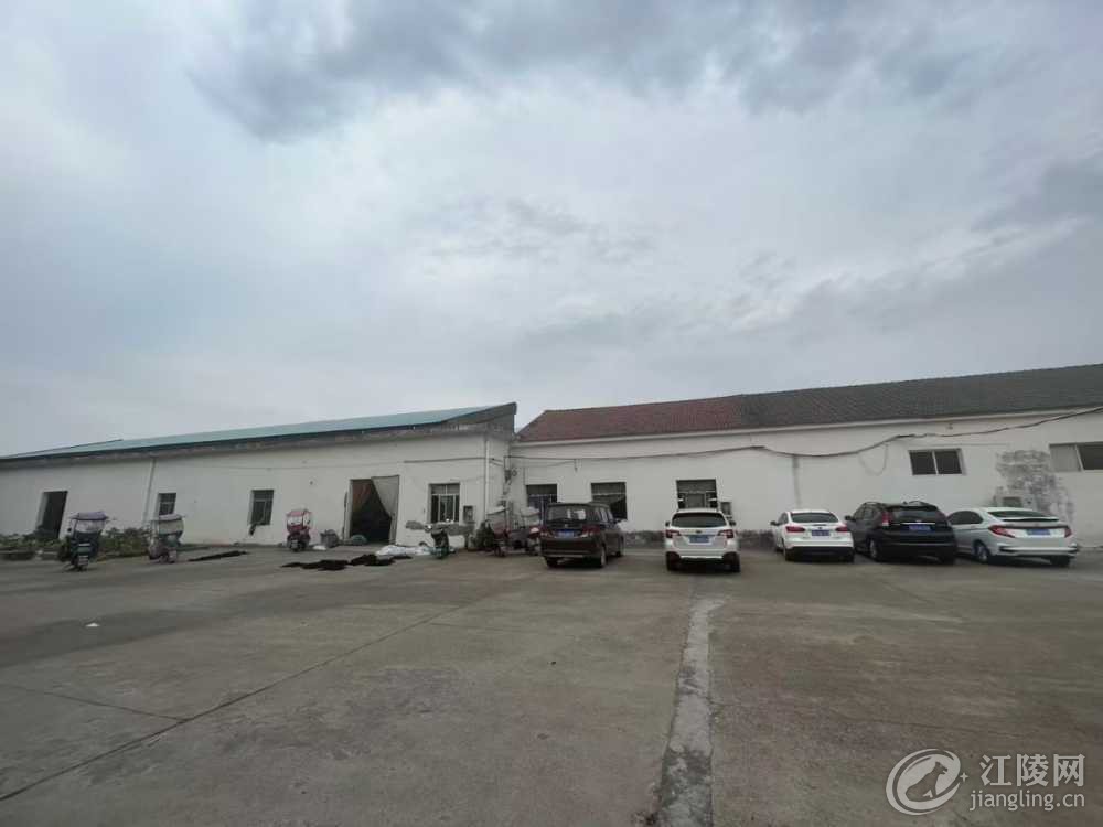 mmexport1731977408573.jpg
