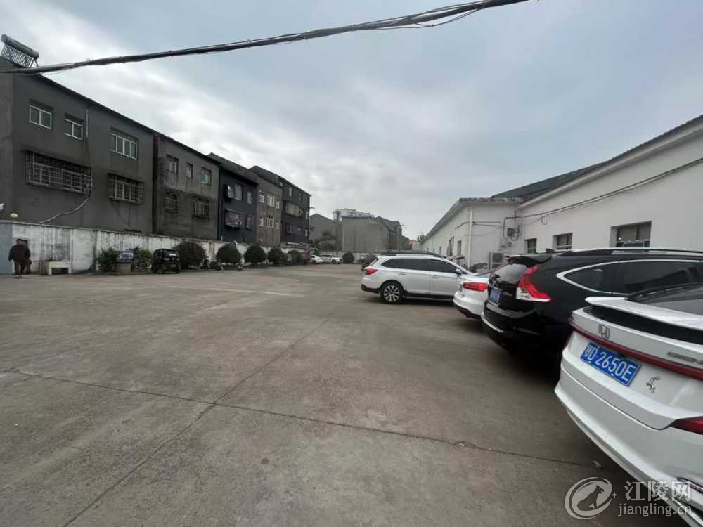 mmexport1731977406733.jpg