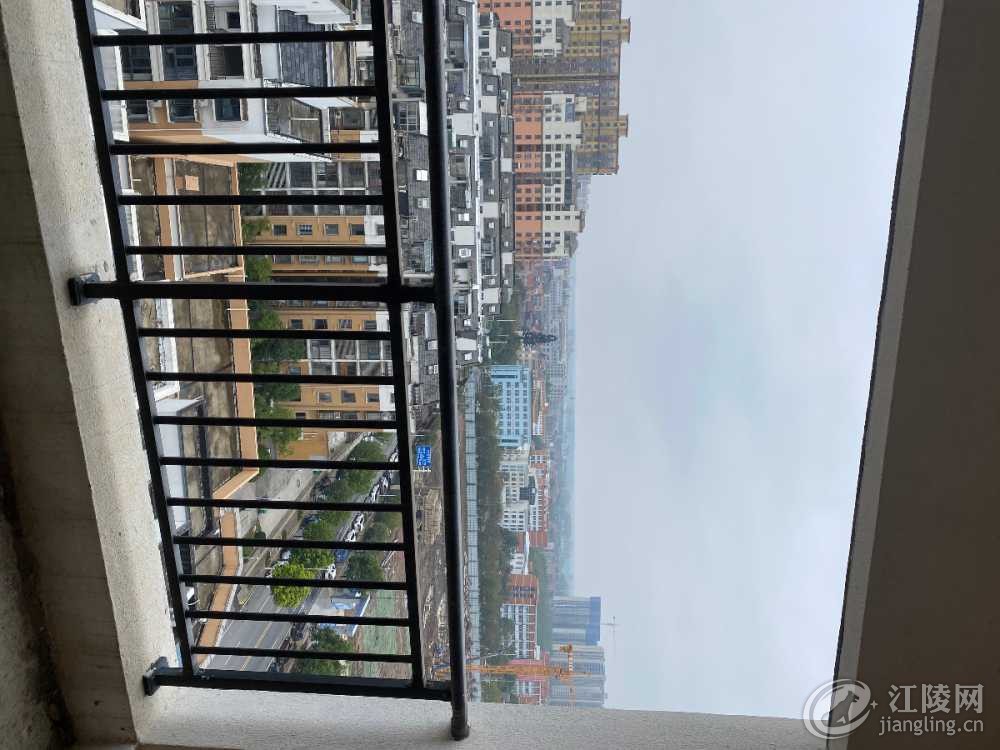 IMG_8187.jpeg