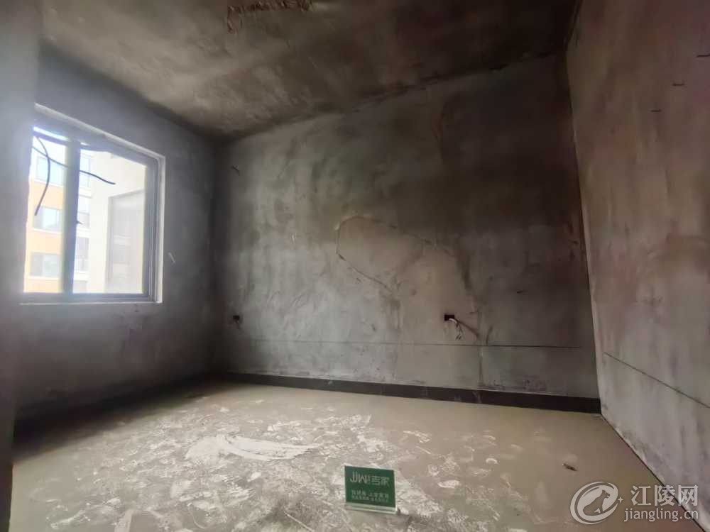 IMG_20241126_155411.jpg