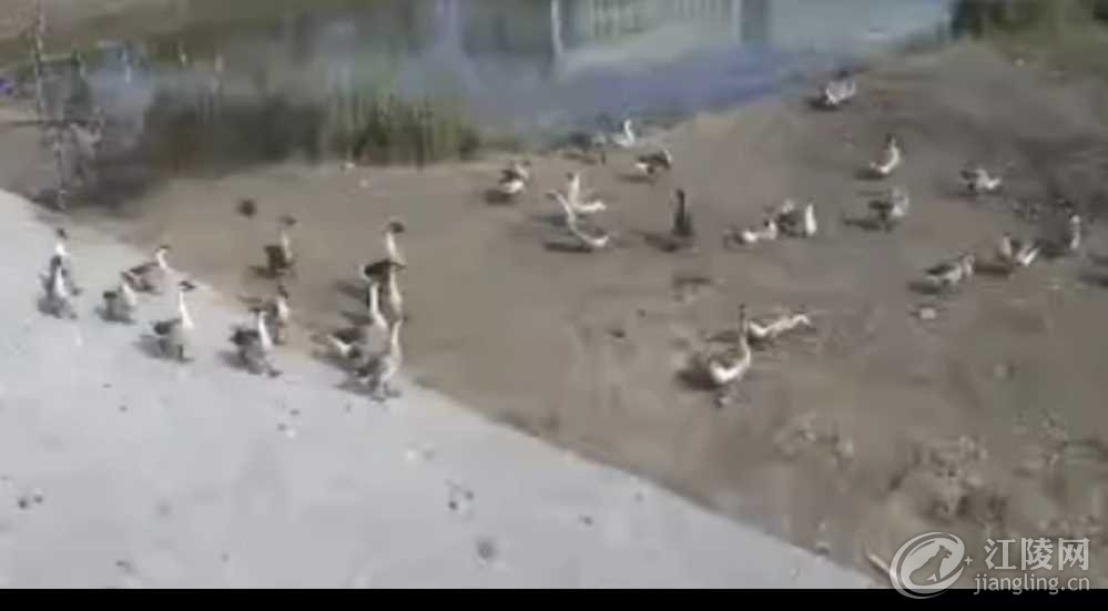 Screenshot_20241203_194900_com_hihonor_photos_SlotAlbumActivity.jpg