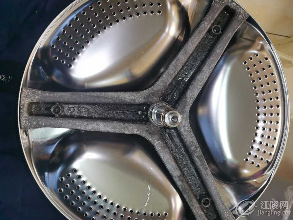 IMG_20241208_171519.jpg