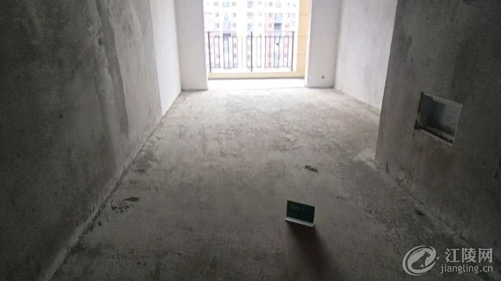 1736418406445.jpg