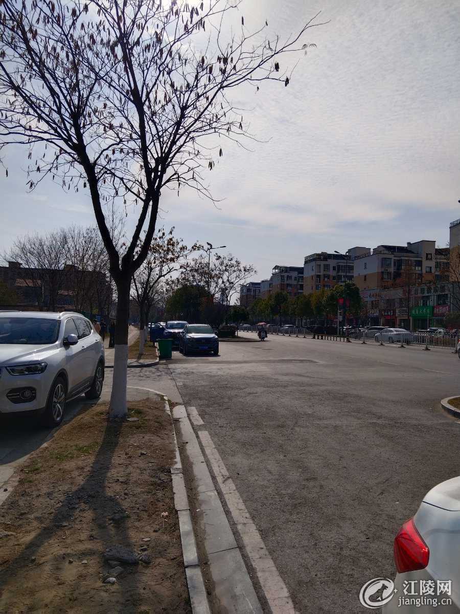 mmexport852c28402a03fa112bc77c2f5dd36acc_1736930093356.jpeg