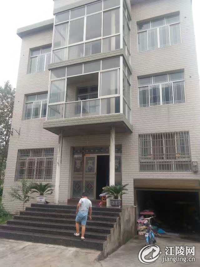 mmexport1738401959433.jpg