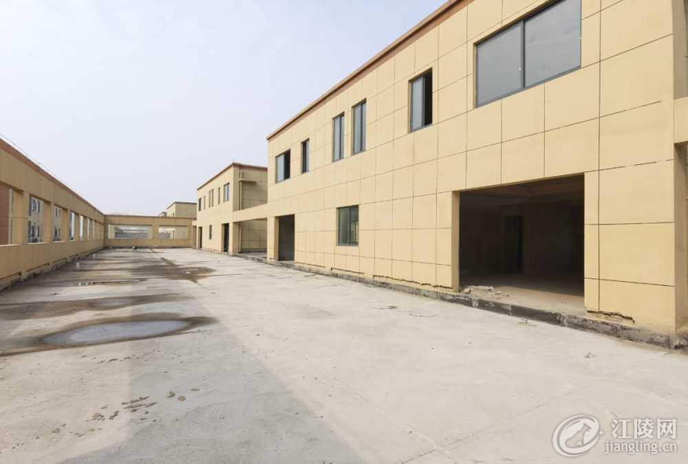 mmexport1741316942059.jpg