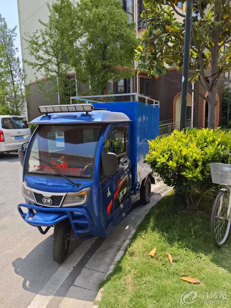 mmexport1745384208609.jpg