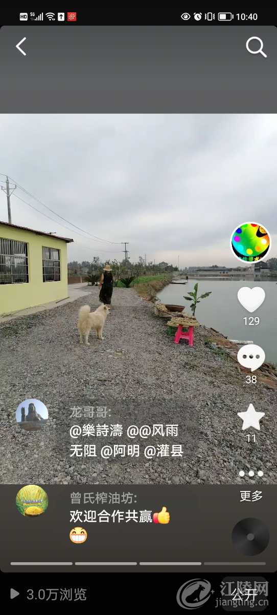 Screenshot_20250510_104034.jpg