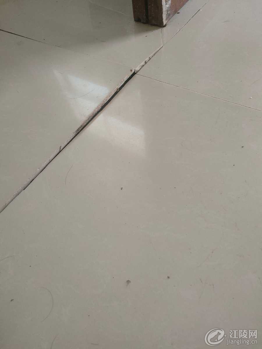 IMG20250710094501.jpg