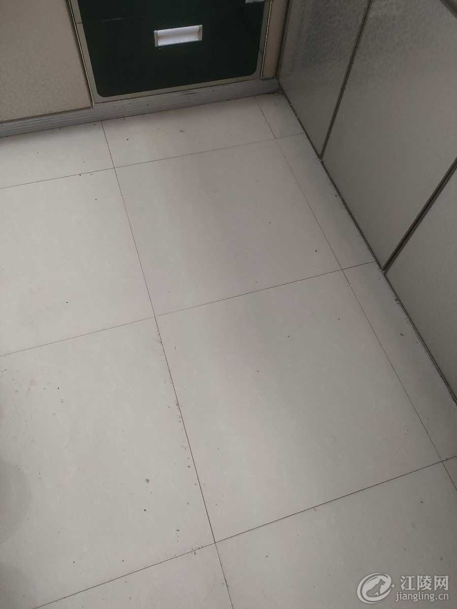 IMG20250710094522.jpg