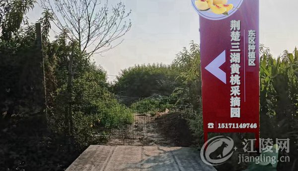 ΢��ͼƬ_20250710180213_����.jpg