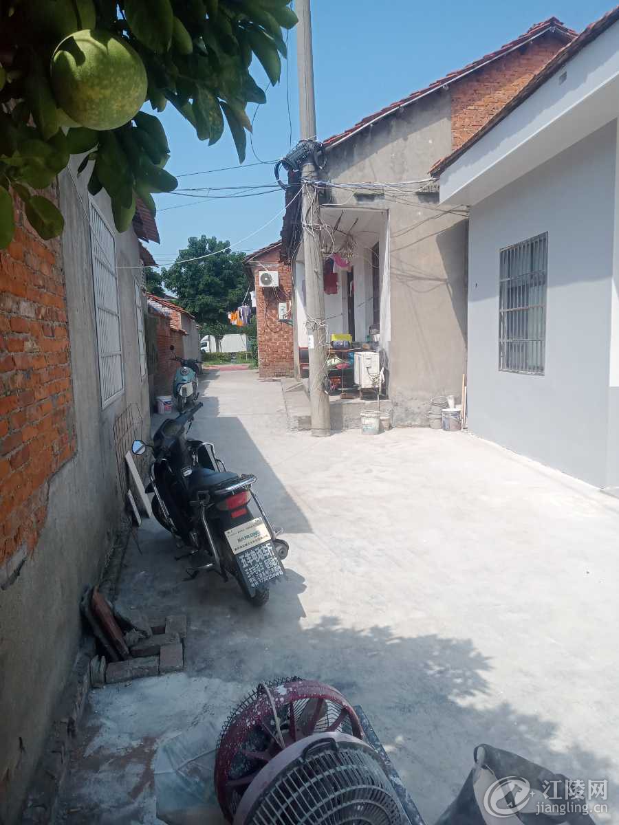 IMG20230816102524.jpg