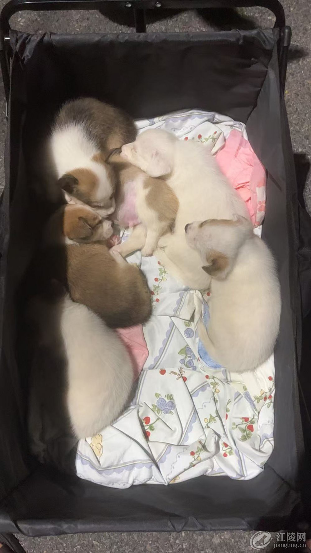 �»�����
