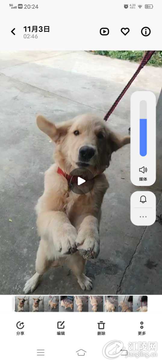Screenshot_20251205_202447.jpg