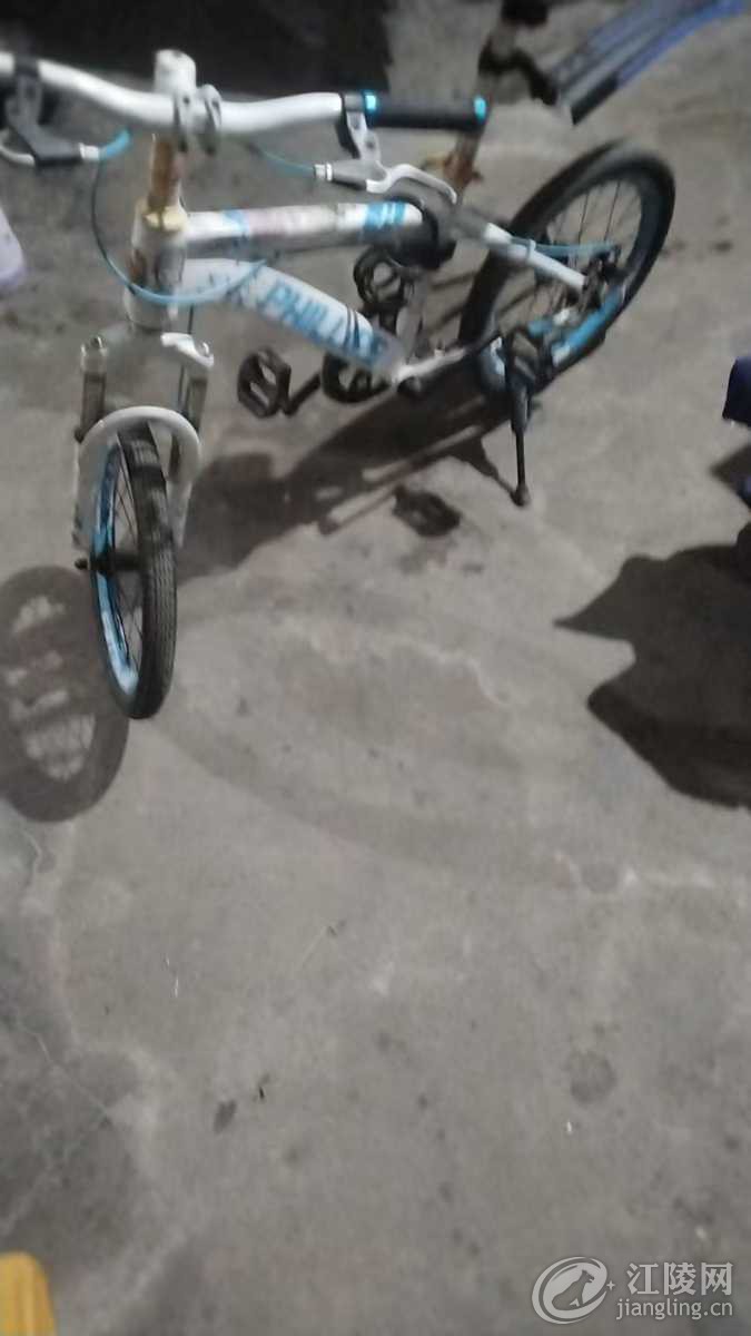 mmexport1765756839486.jpg