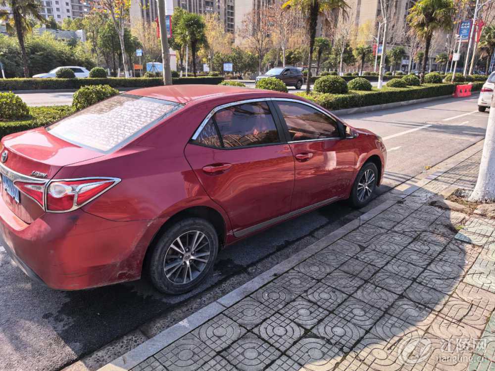 mmexport1767693737978.jpg