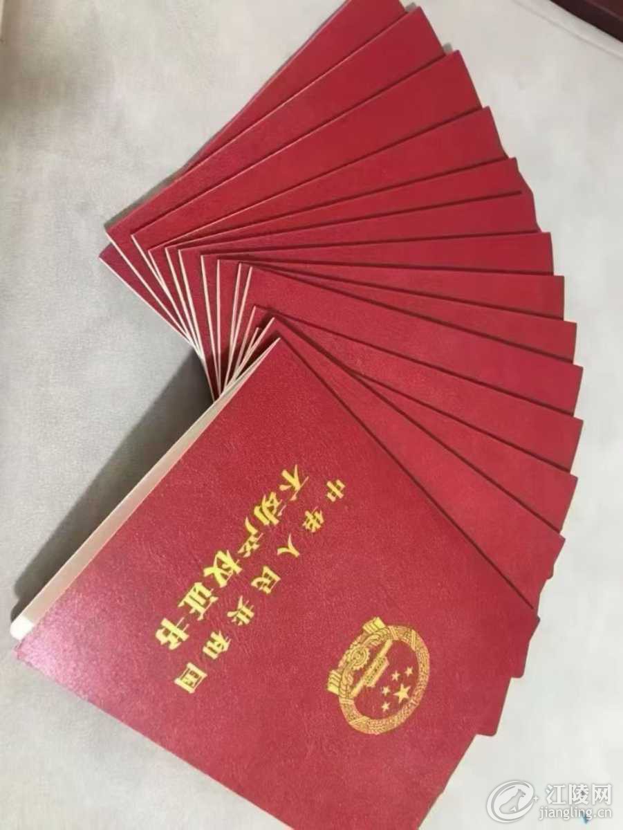 mmexport1774659919901.jpg