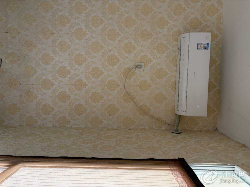 IMG_3173.jpeg