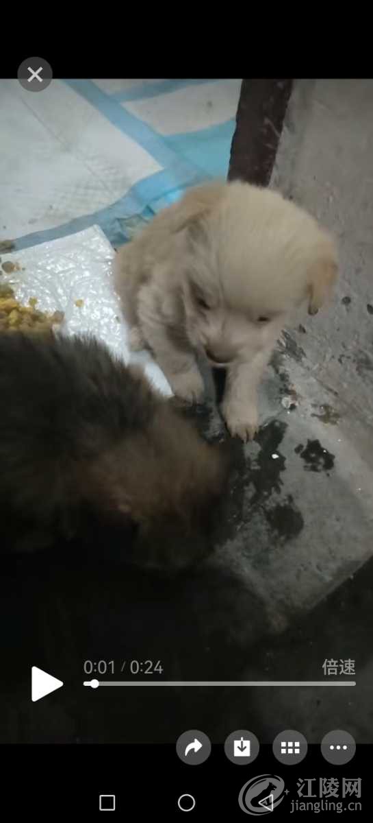 Screenshot_20260515_211044_com.tencent.mm.jpg