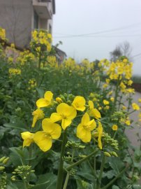 �ڴ���ů����֮ʱ�ͺ�����ȥ�Ͳ˻�������