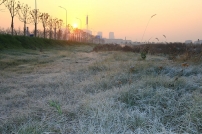 �趯�絶̤�������ݲ���˪ʩ���졣 ����һ�����䶬�� һƬ���������񡣡���2014.12.22