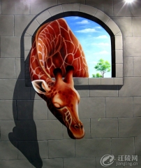 3Dħ������չ