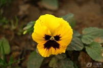 ��֮��