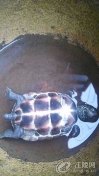 ���ҿ��Ұ���