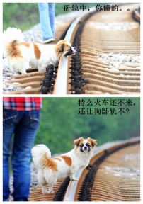 ��ô�𳵻����������ù��Թ첻��
