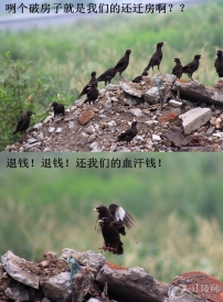 �˸粻����Ǩ��������۸�ߣ�ǿ��Ҫ�󿪷�����Ǯ����Ǯ��