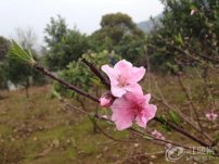 û��רҵ��Ӱ�� �ֻ�Ҳ���Ĵ�Ƭ��?