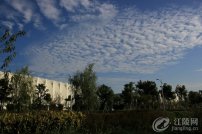 �������ݣ�������������Ƴ�����