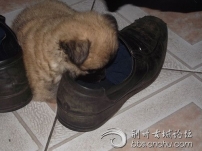 Сë����Ь��