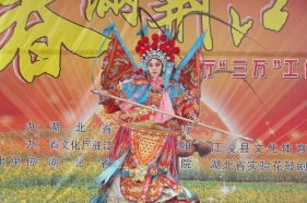 �Ļ����磭���������ϴ�ί��
