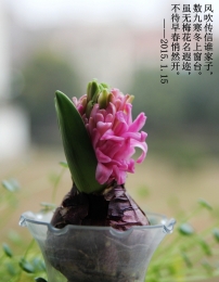 �紵����˭���ӣ����ź����ϴ�̨������÷�������ǣ������紺��Ȼ��������2015.1.15