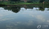�������������ӭ����Υ���������