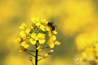 ��֮������ӣϲ���ͣ��Ͳ˻�����