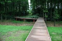 �ϰ�·�ϣ�һ·�������ʻ����ţ����ҷ���
