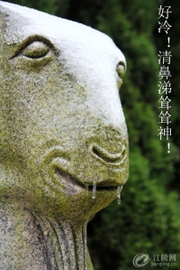 ���䣡�����������